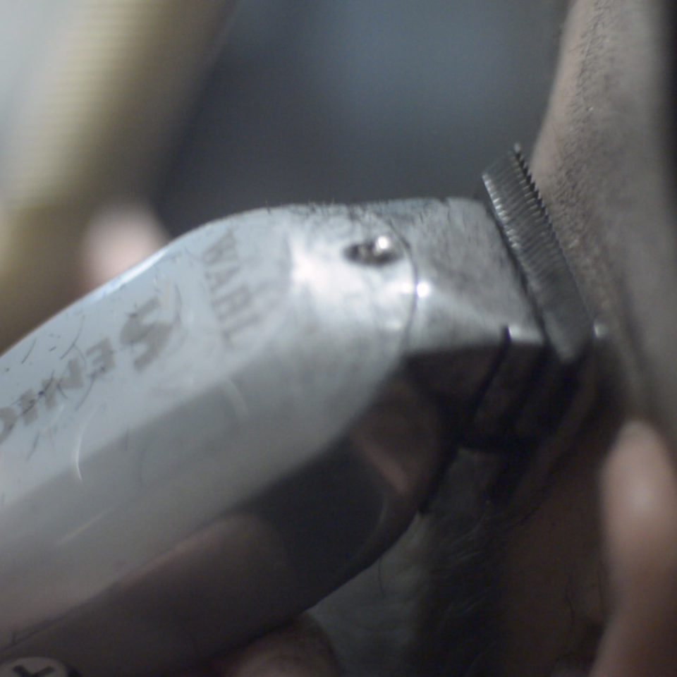 cko_dicarlo_menCut_beard_videoStill